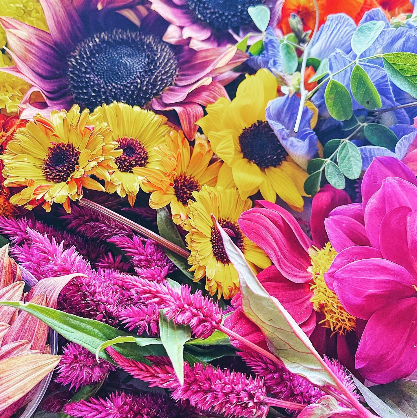 Incredible edible petals and blooms! One of my absolute favorite parts of our graze process is prepping our edible flower garnishes - it feels like a dream every time I get to prepare my tray of floral magic. ✨🌸✨
So grateful to have made another flo