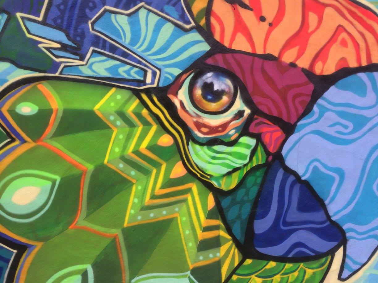 Farid Rueda