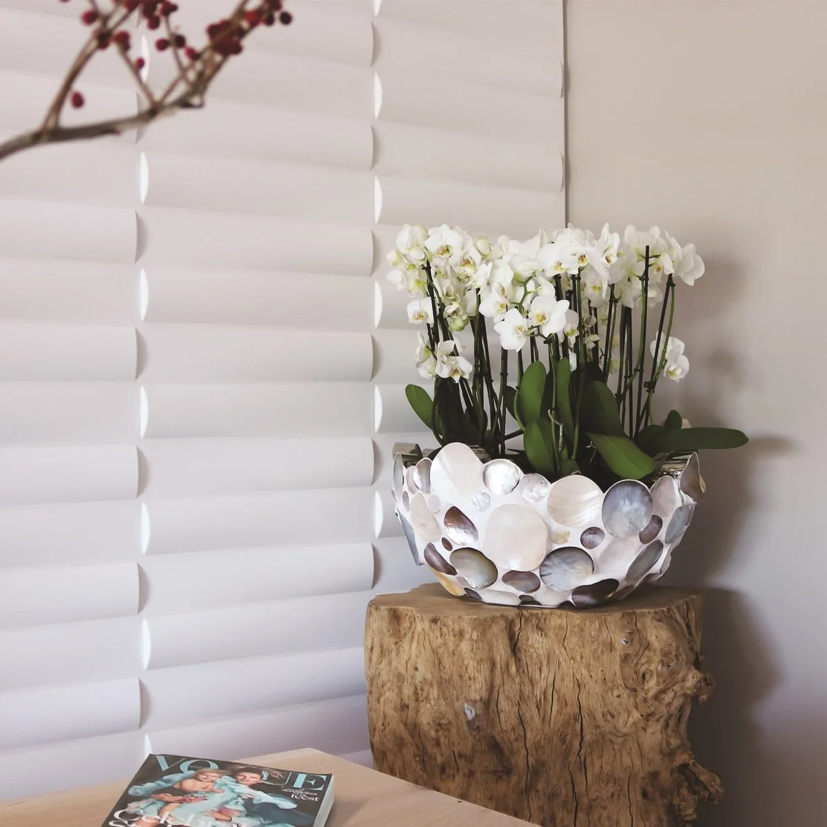 WA23 Jayden LR 07.jpg