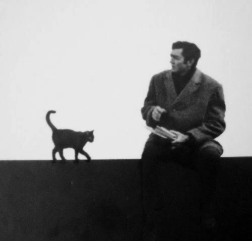cortazar_cat.jpg