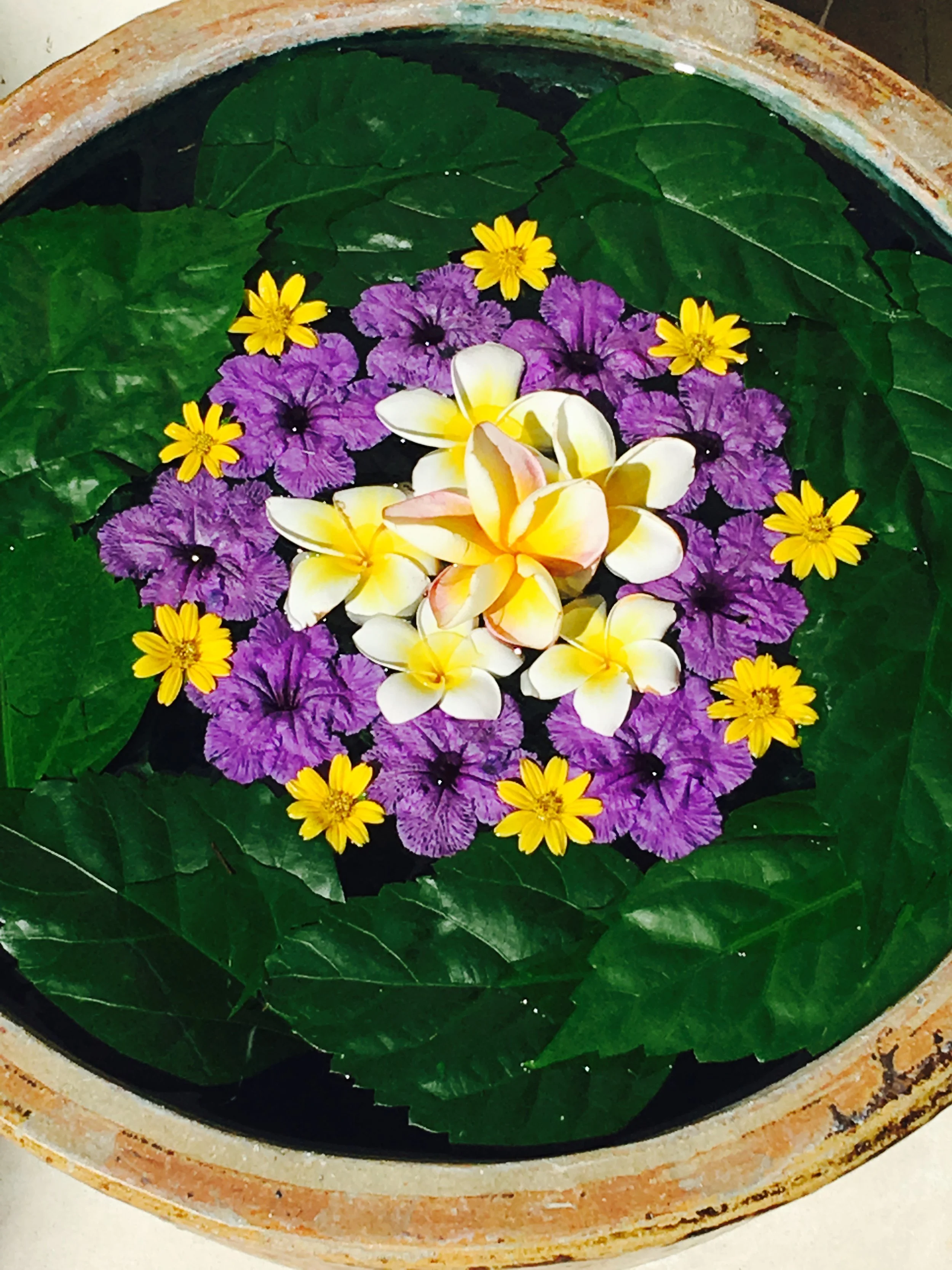 File 30-7-17, 8 51 46 pm.jpeg