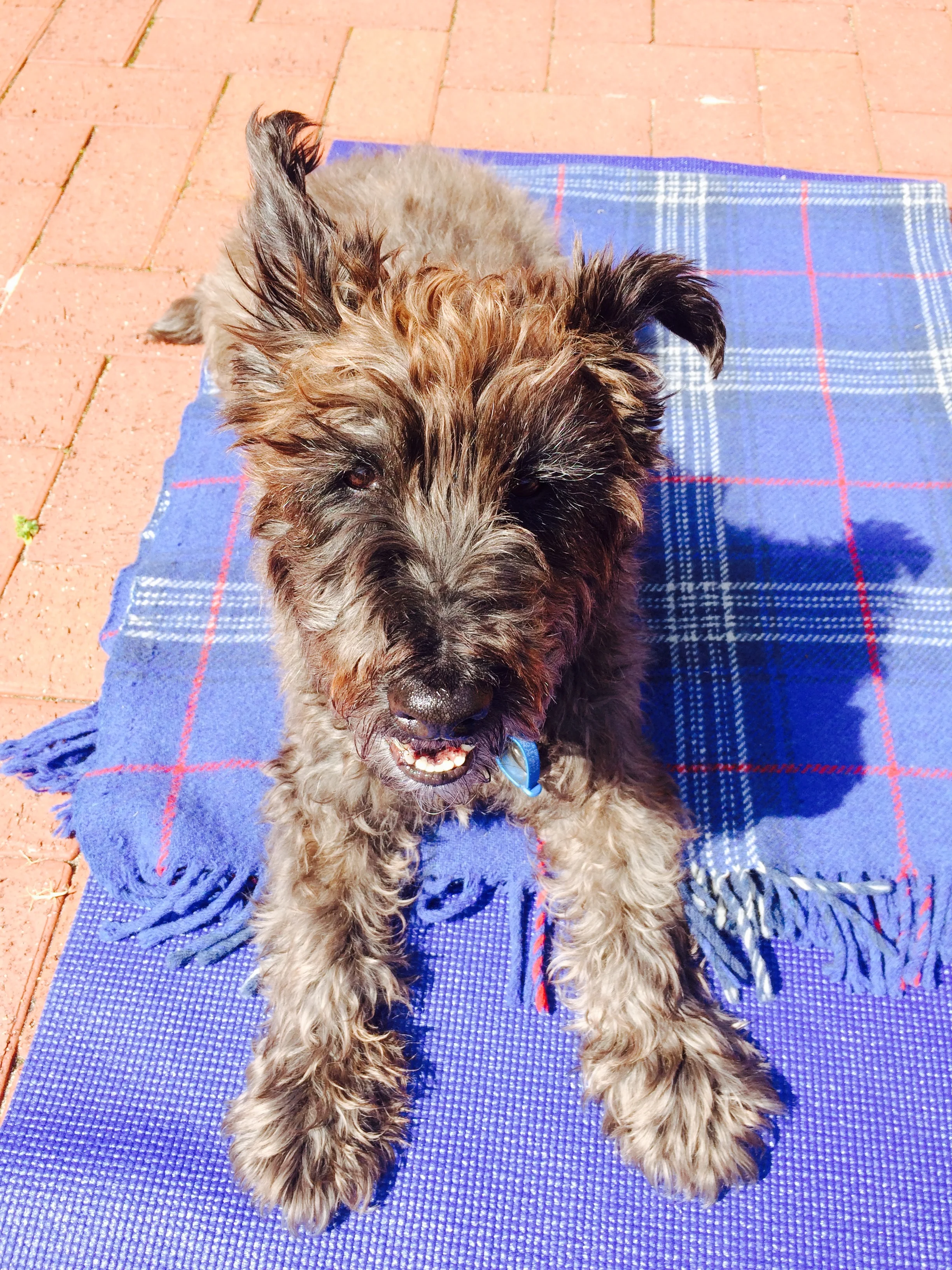 File 30-7-17, 9 01 45 pm.jpeg