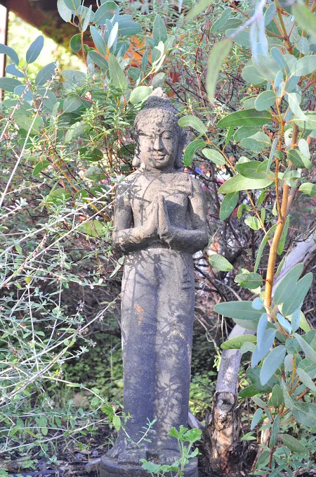 File 30-7-17, 8 53 05 pm.jpeg