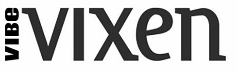 vibe-vixen-logo1.jpg