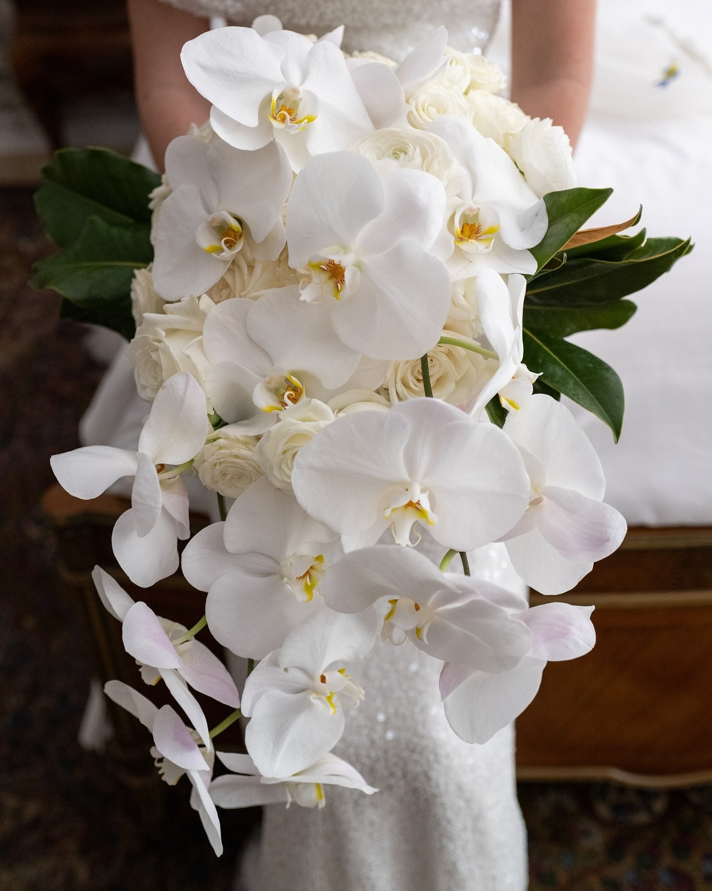 Oversized orchid bridal bouquet for our Old Hollywood inspired wedding. 

Proud of the work of our very own floral designers. 

Photo by @look_fotografia 

#wedding #bridesbouquet #orchidbouquet #whiteorchids #orchidlover #bouquet#flowerdesigner #wed