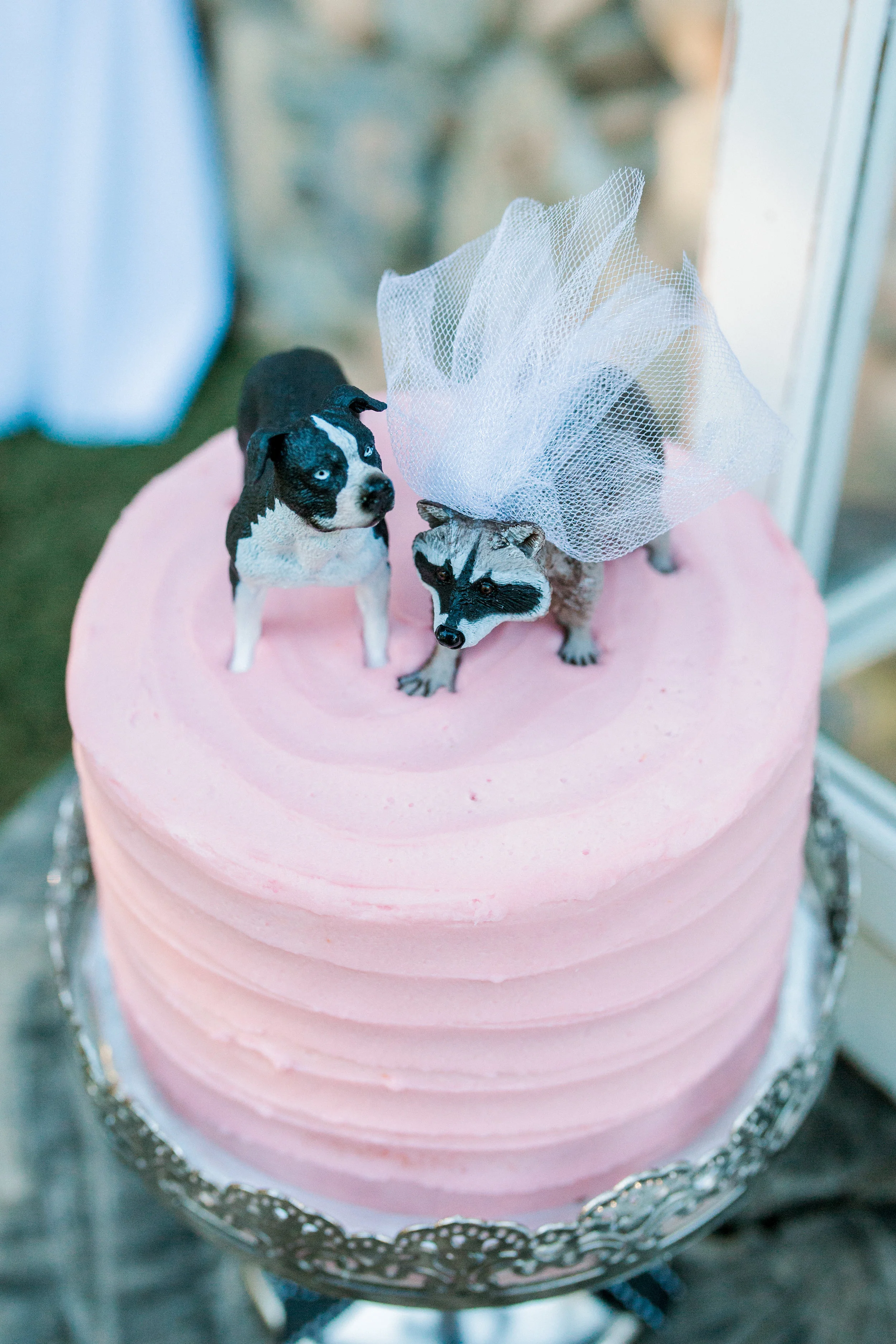 Coloma Wedding Web 20.jpg
