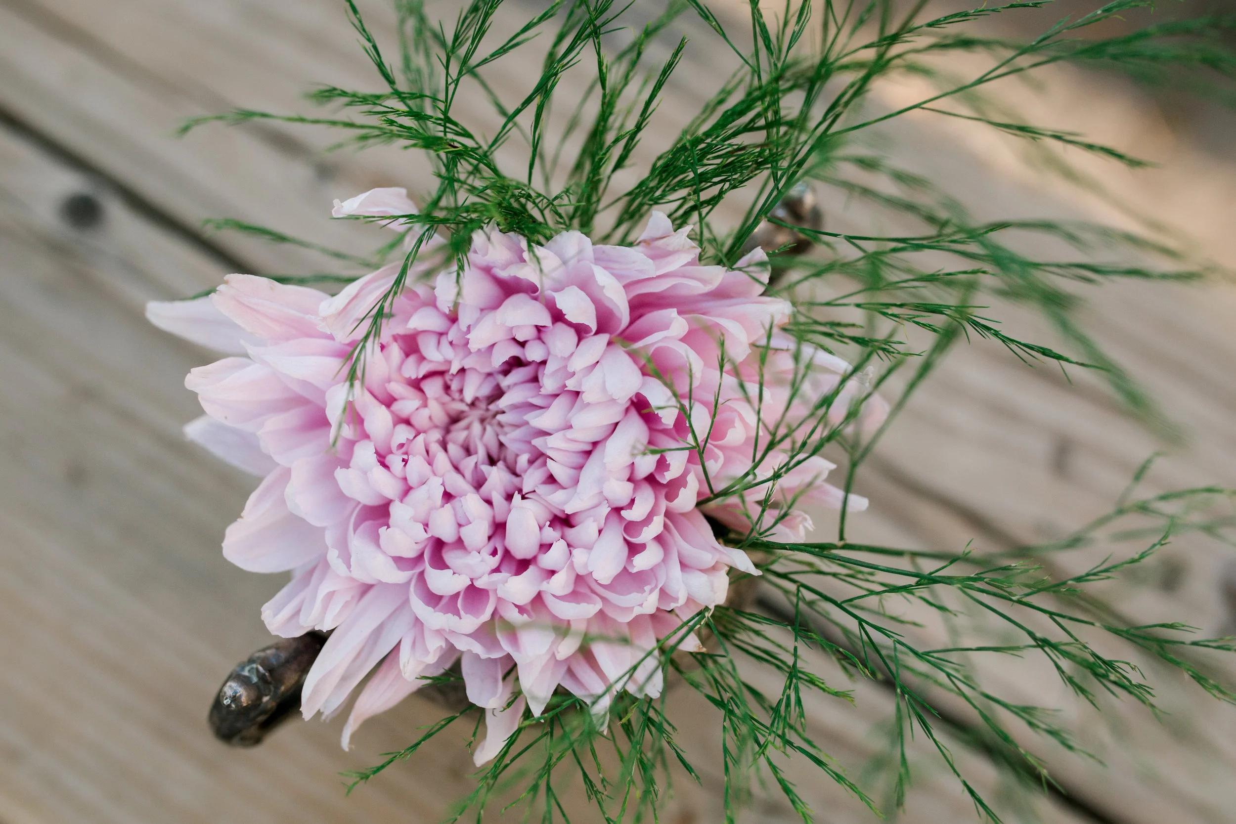 Coloma Wedding Web 17.jpg