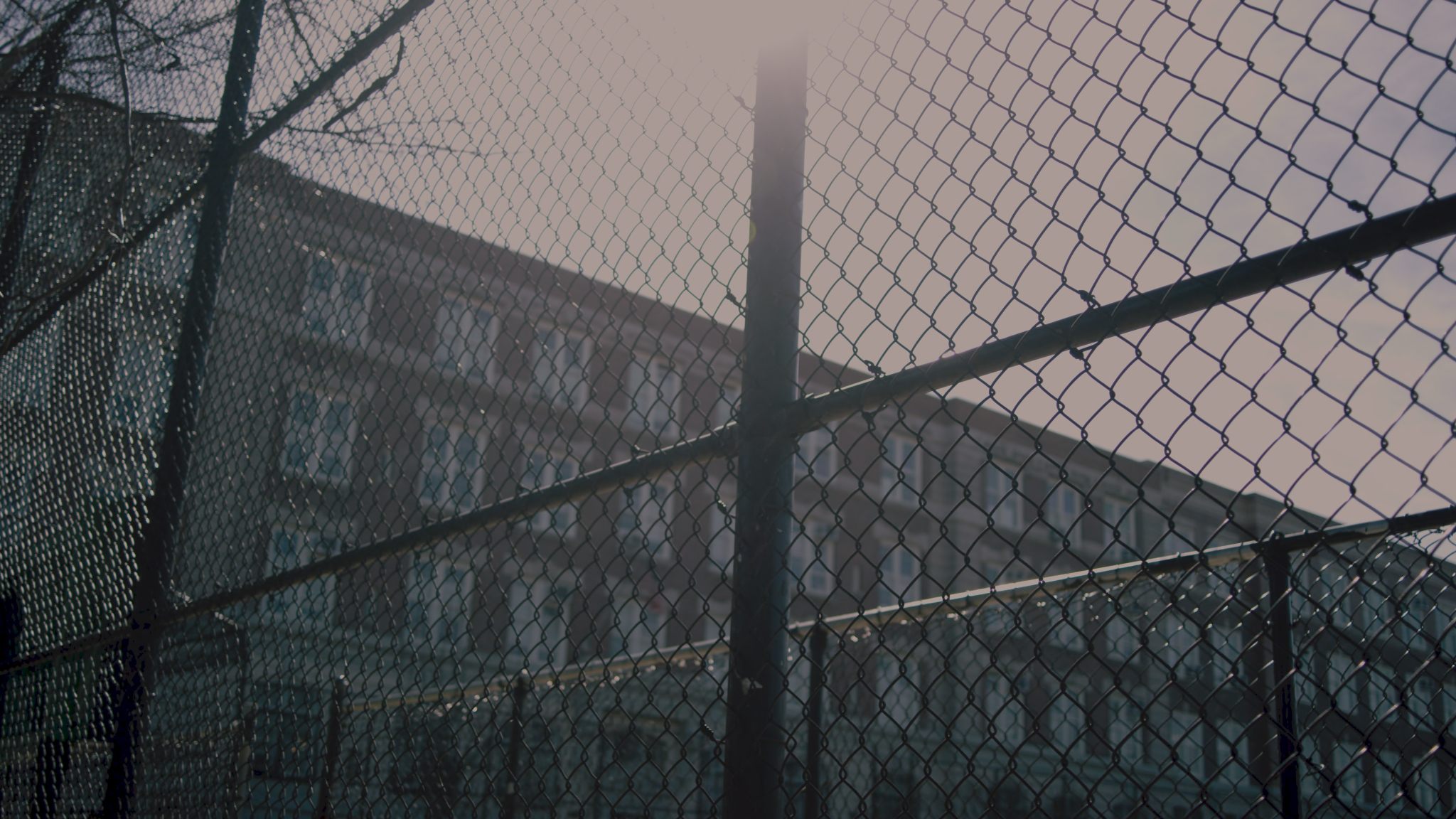 NY Insta.00_00_50_09.Still007.jpg