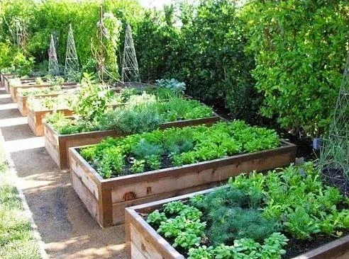 garden2.jpg