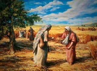 ruthgleaninginfields-judithmehr-909 2.jpeg