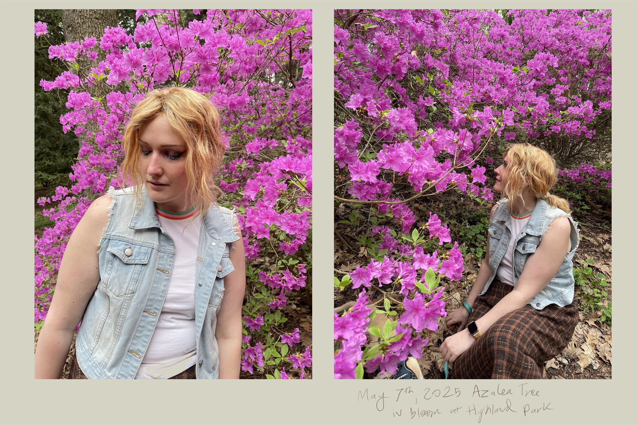 azalea may '25