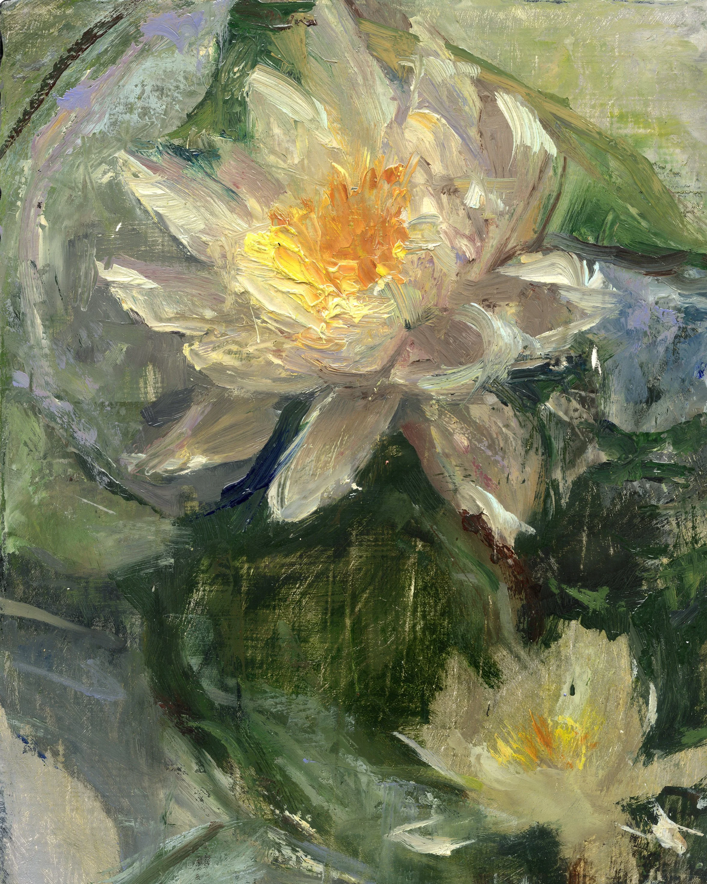 lily flowers june 24th 2023 crop _1.jpg