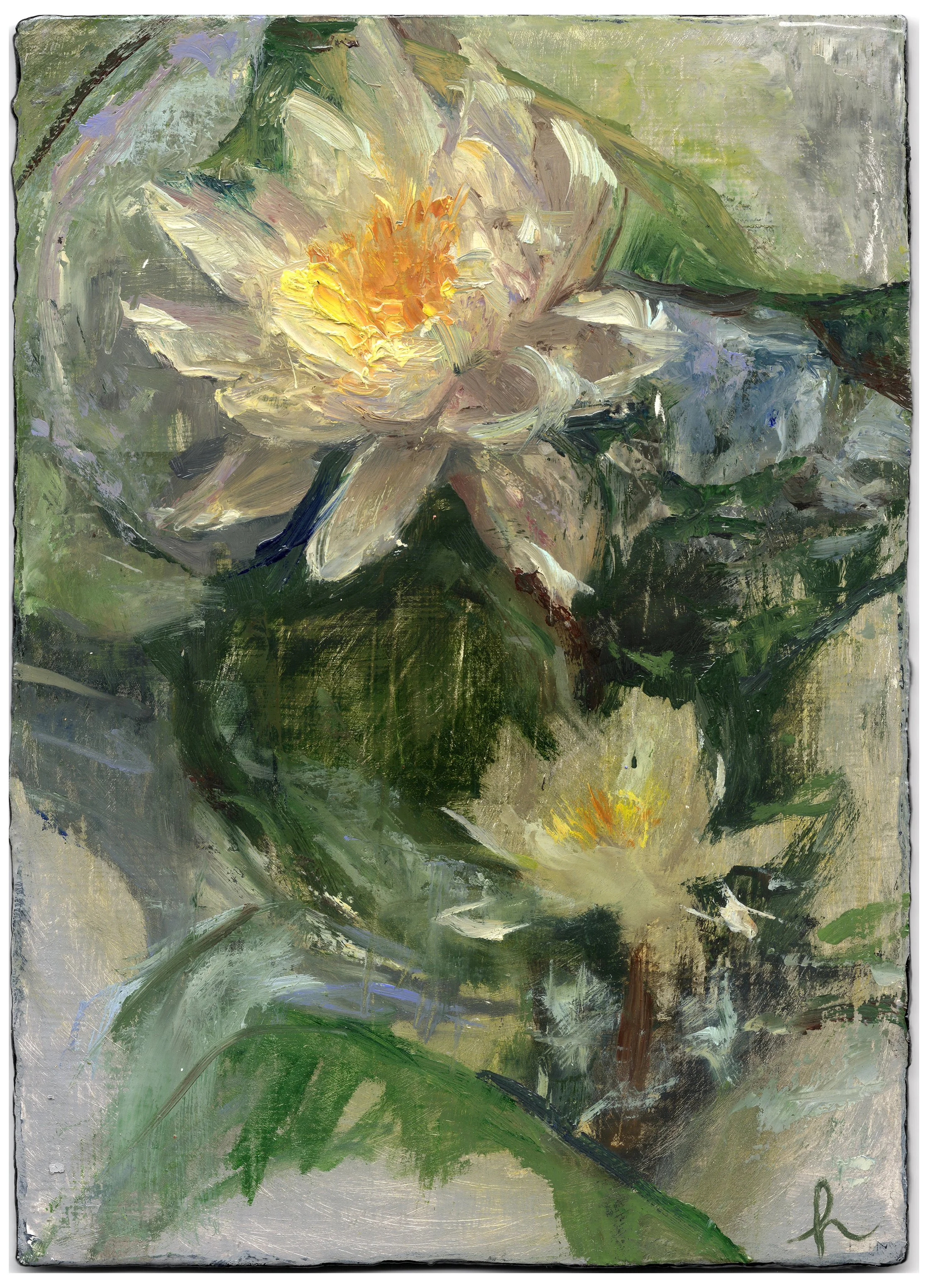 frog's home | water lilies