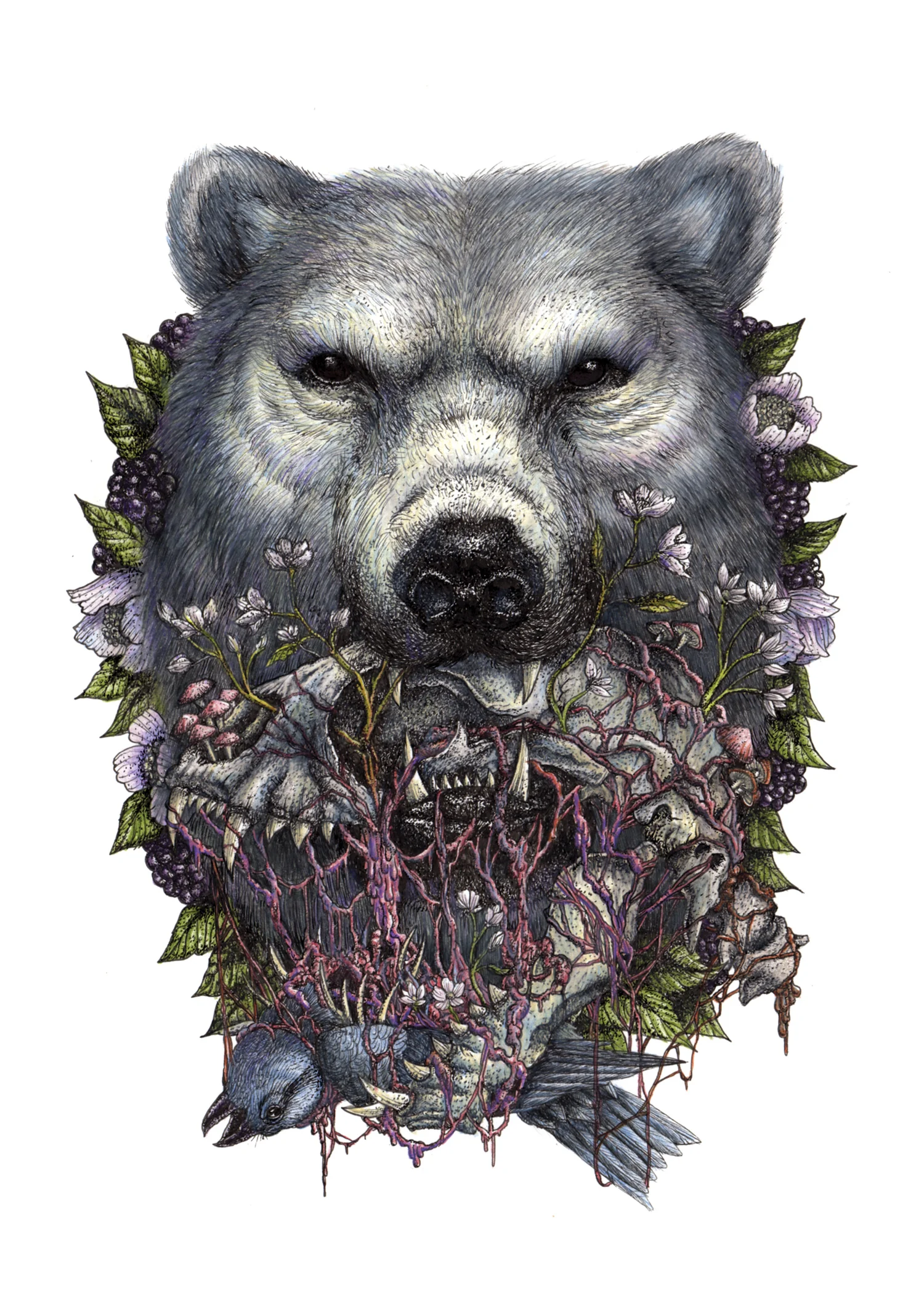 sam-yong-illustrative-style.jpg