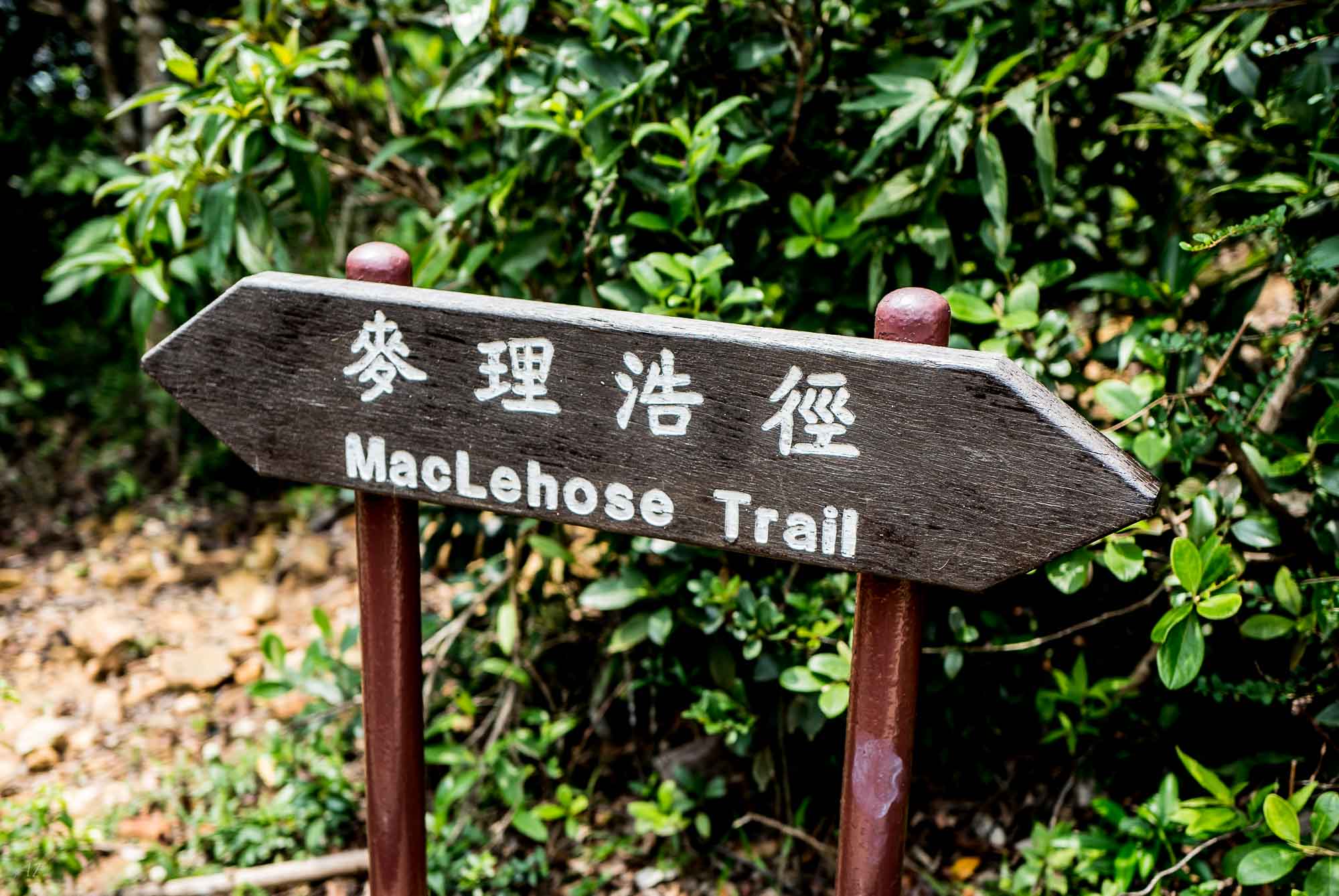 Easy Trails