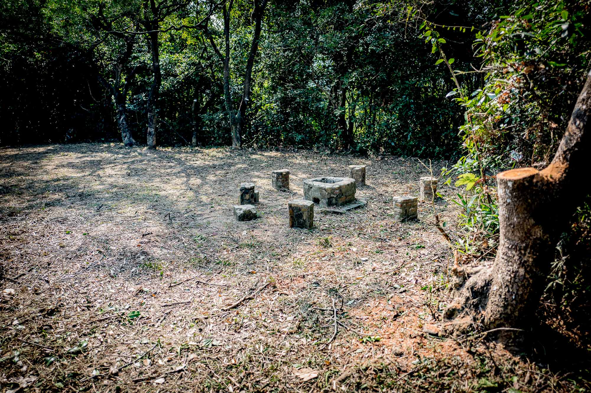 L1160837.jpg