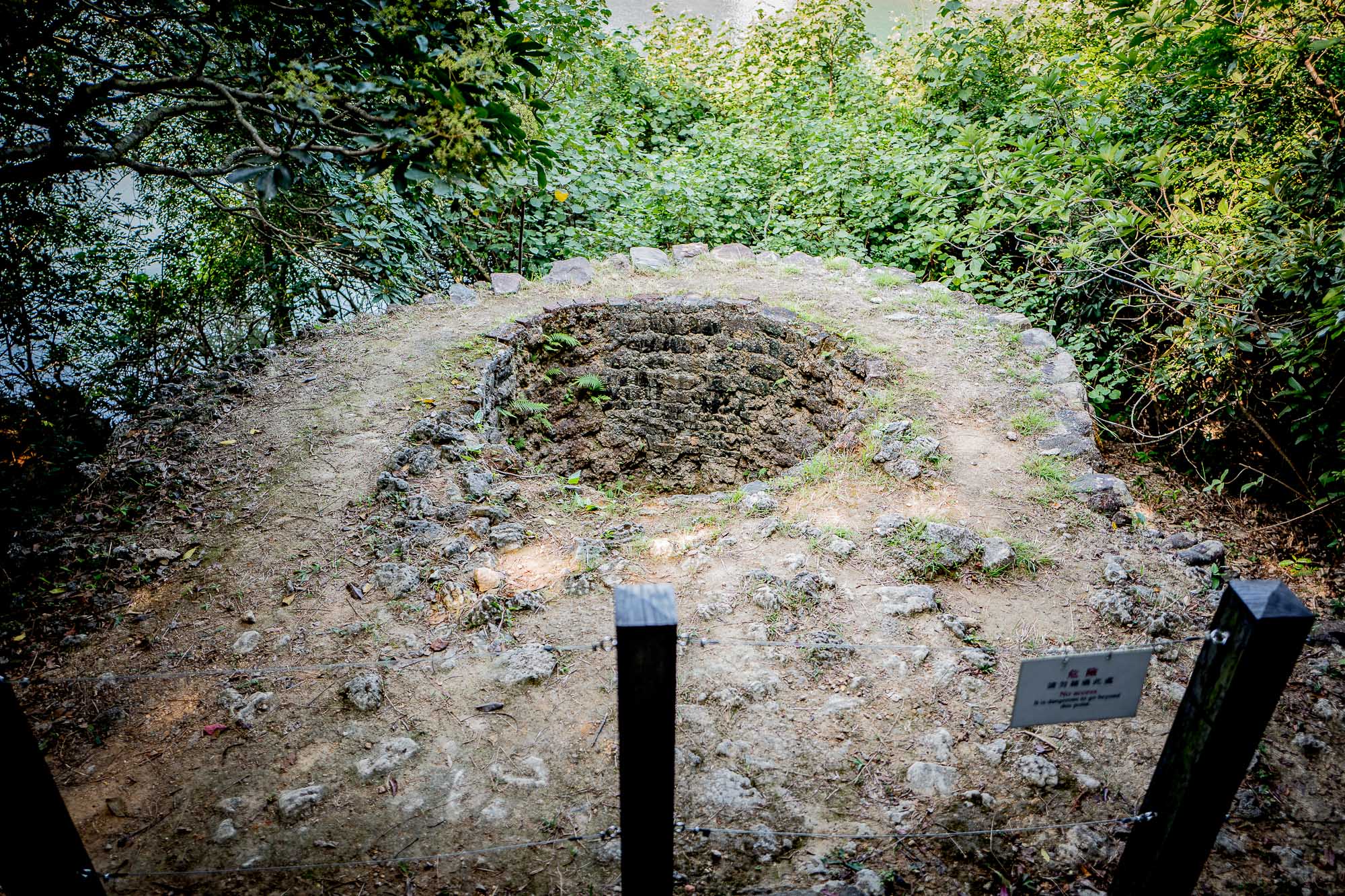 L1160797.jpg