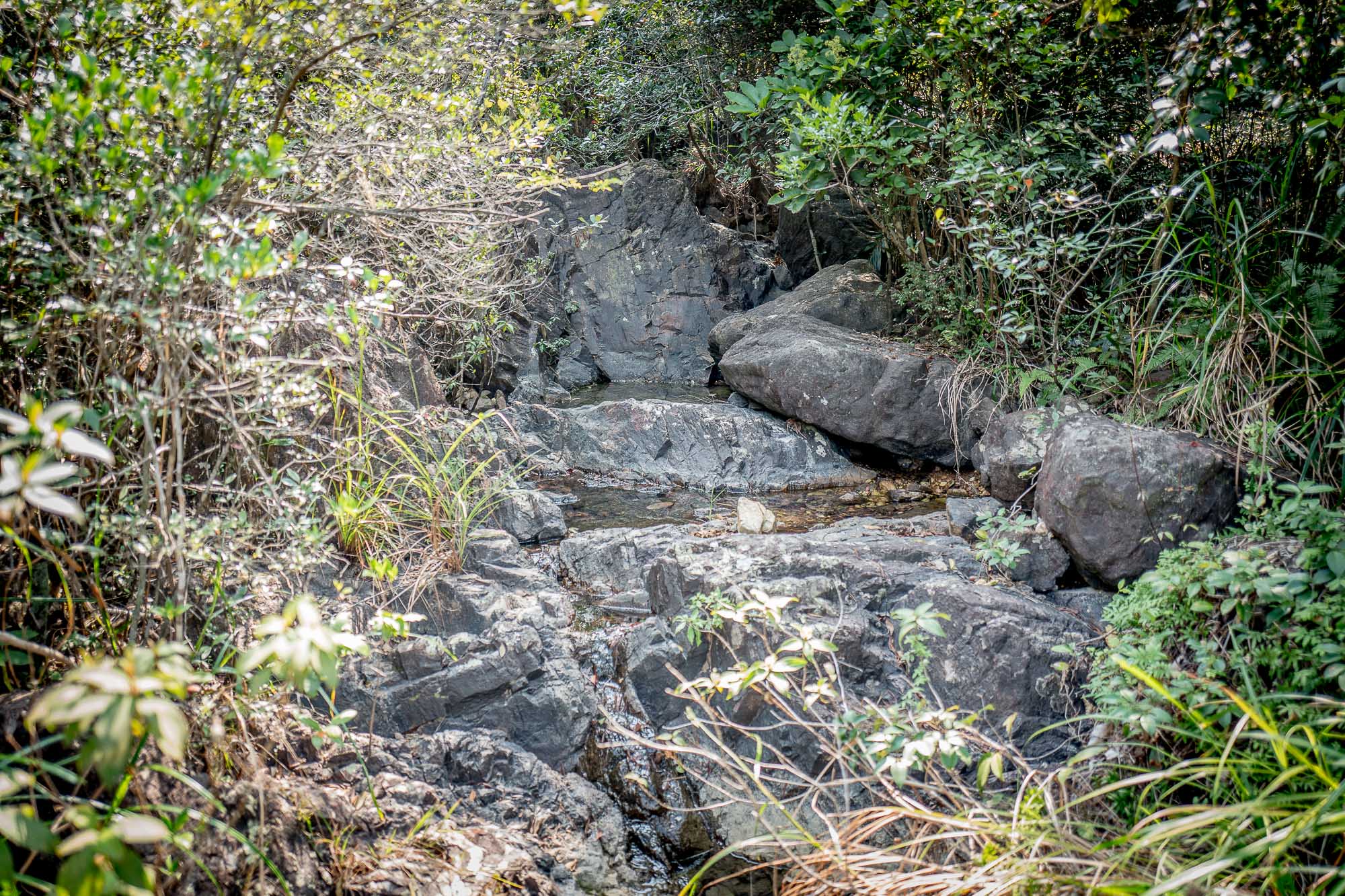 L1160823.jpg