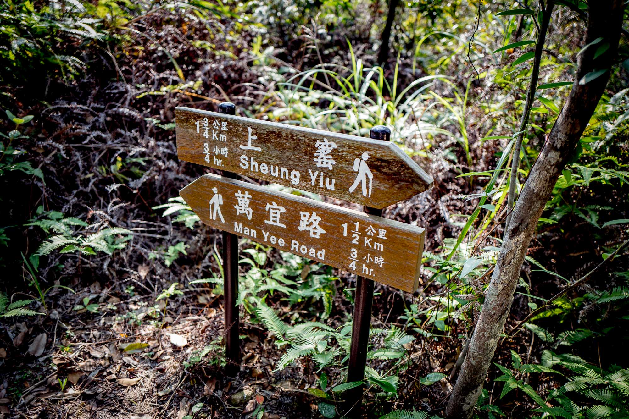 L1160824.jpg