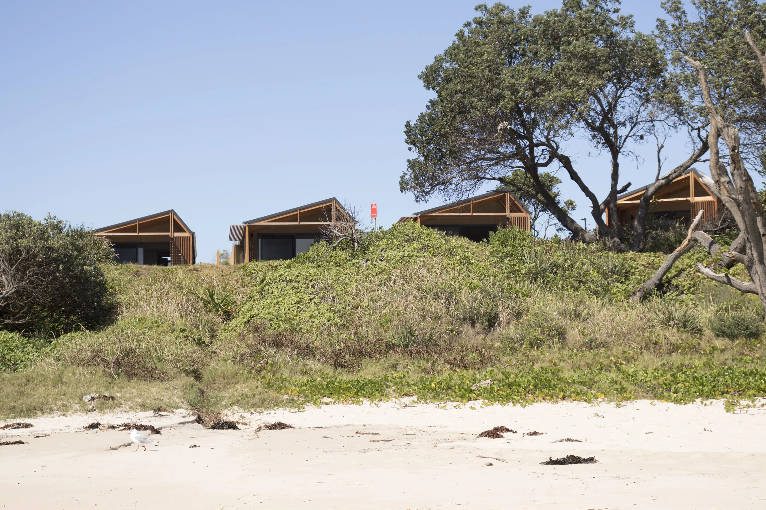 Reflections Seal Rocks — MYERS ELLYETT