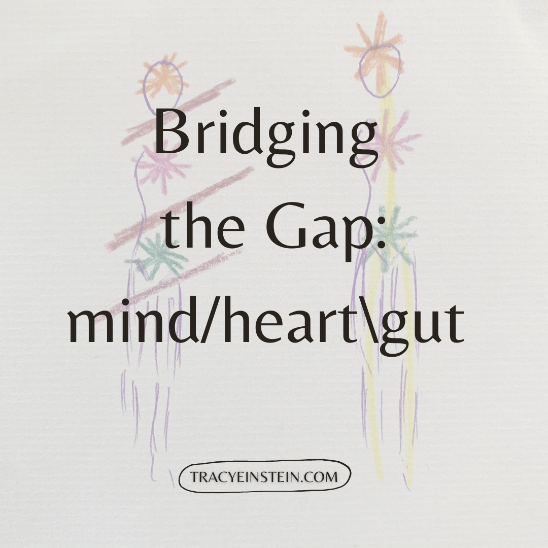 Tracy_Einstein_Bridging the gap_blog_2020