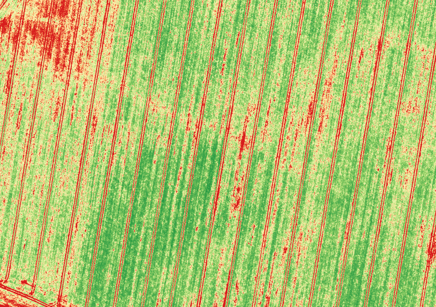 Hyperspectral image of crops