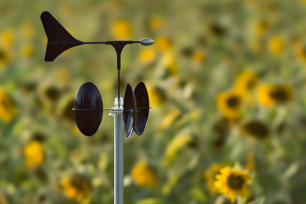 Elliptic Anemometer in sunflower field