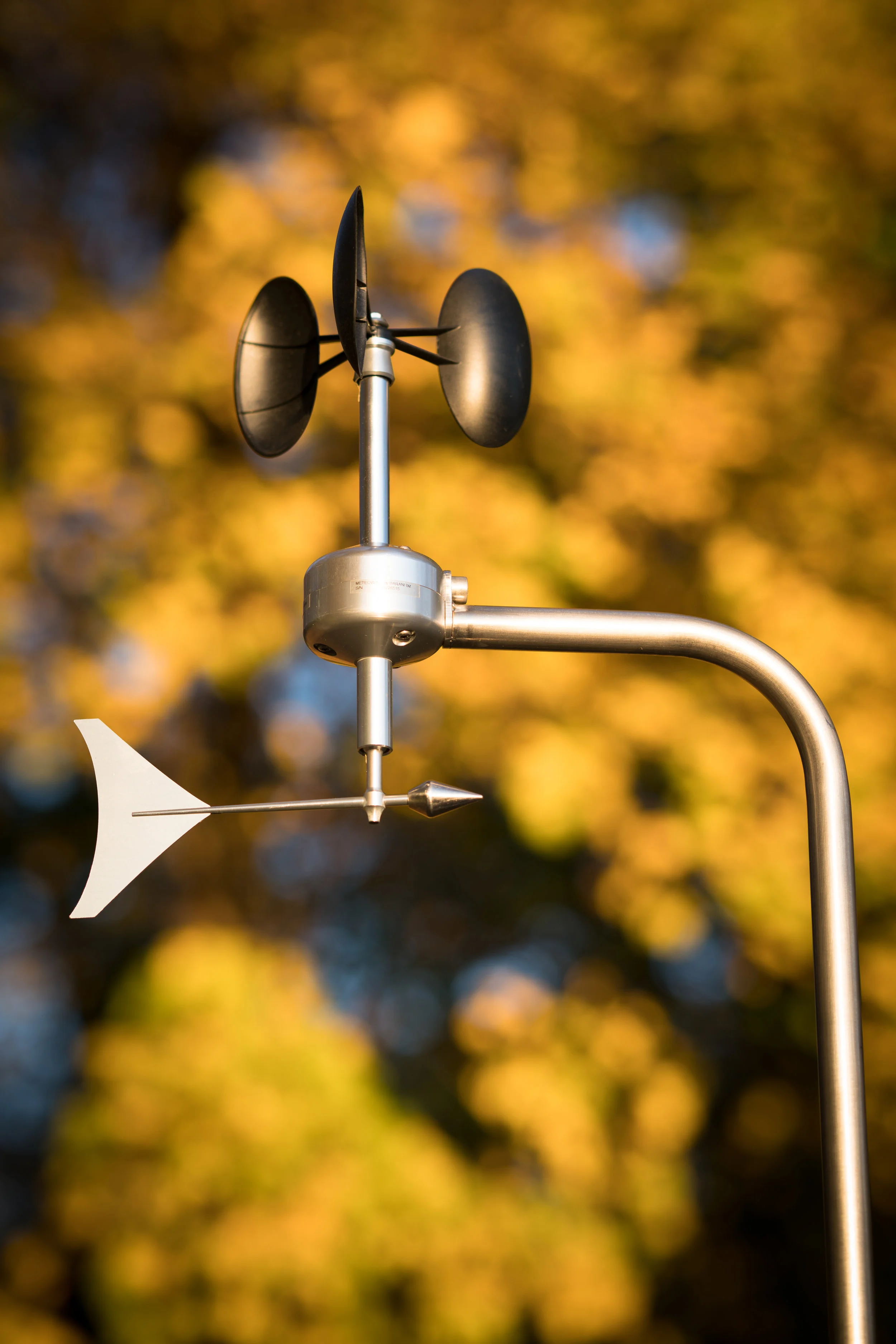 MeteoWind 1 anemometer with wind vane with autumn tree background