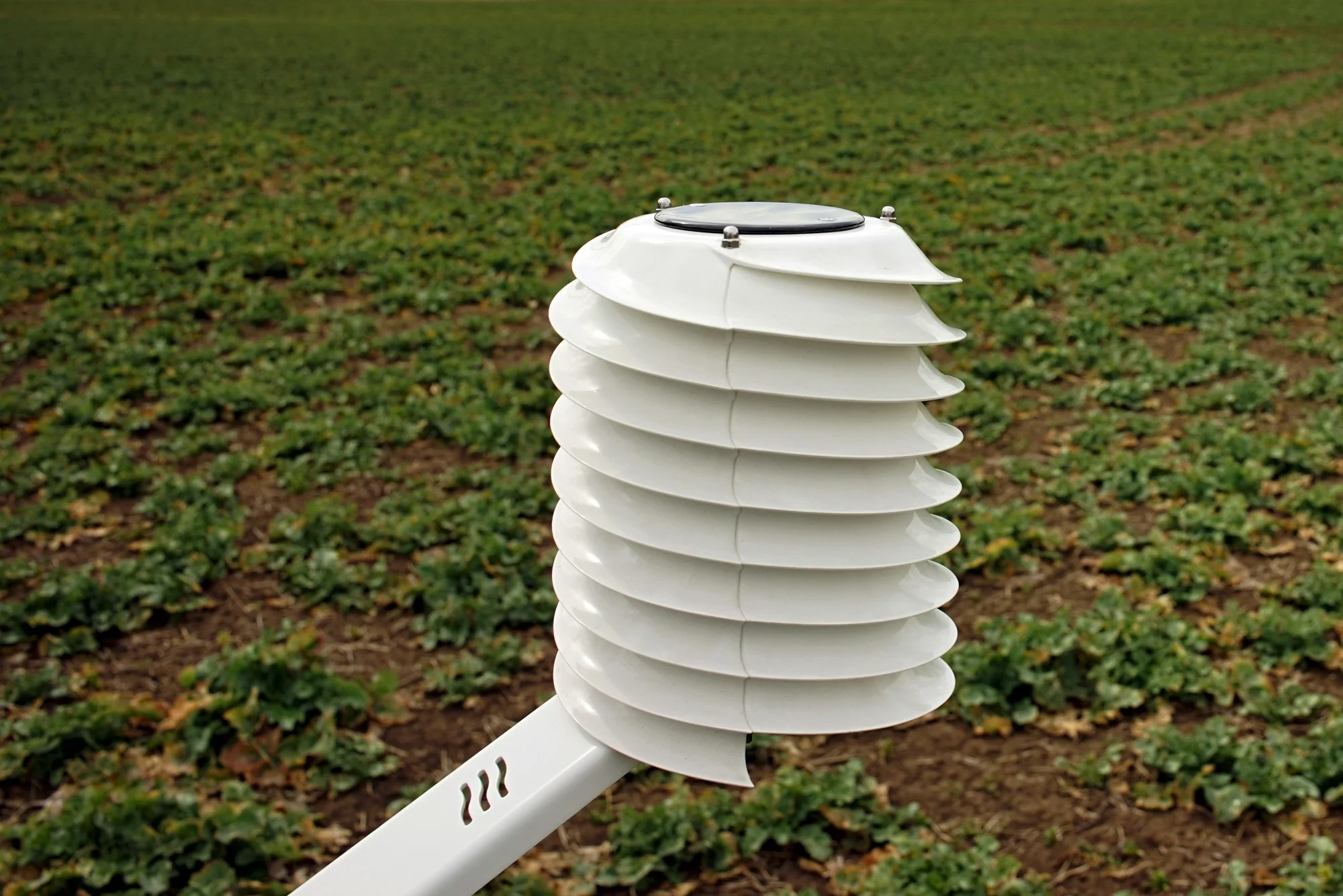 MeteoHelix-IoT-Pro-agro-field.jpg
