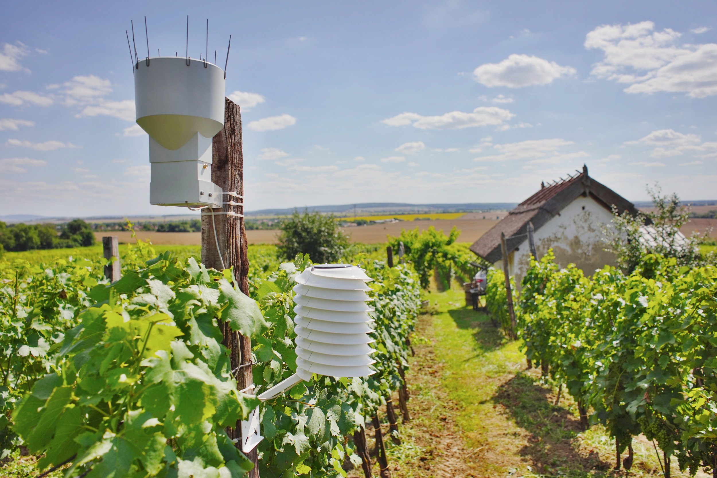 Winery weather station with a rain sensor