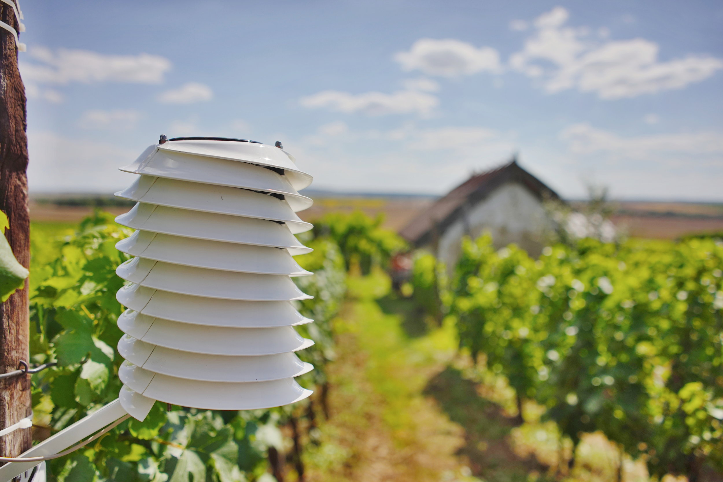 Weather station in a picturesque wine yard