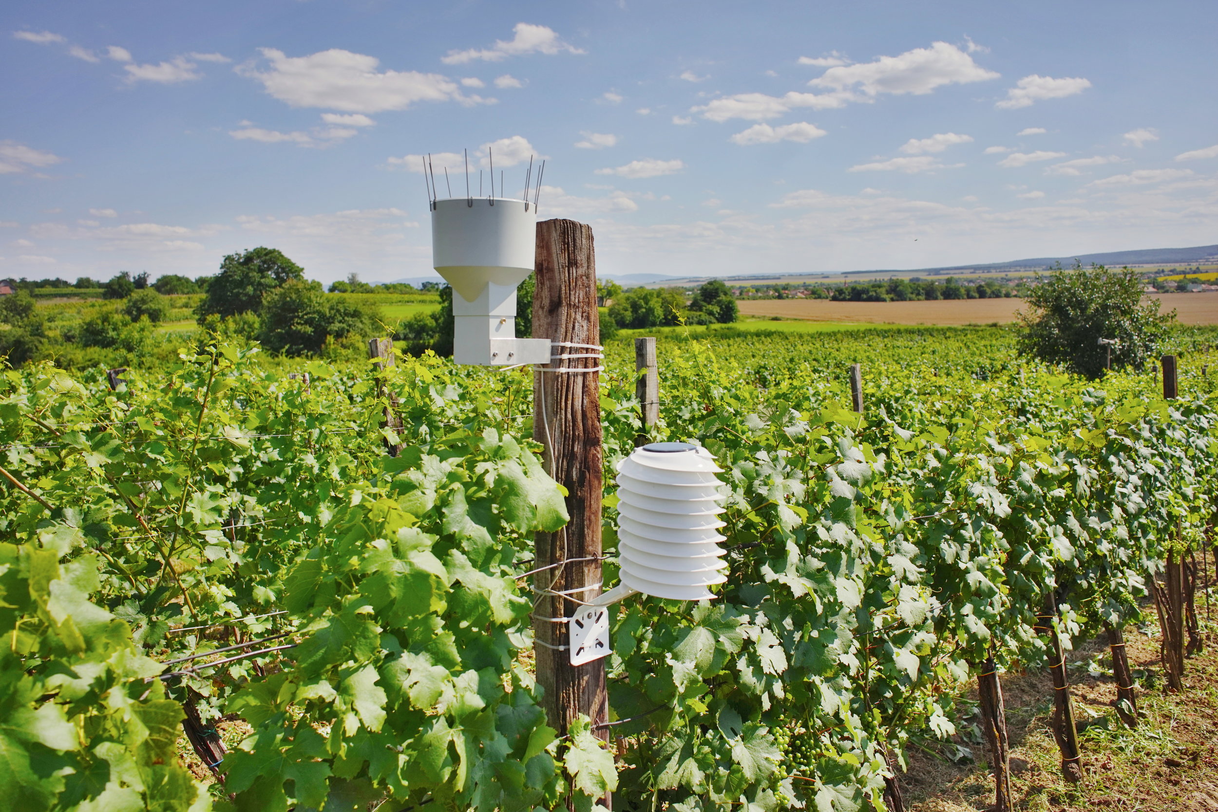Agricultural weather station overlooking a wine yard
