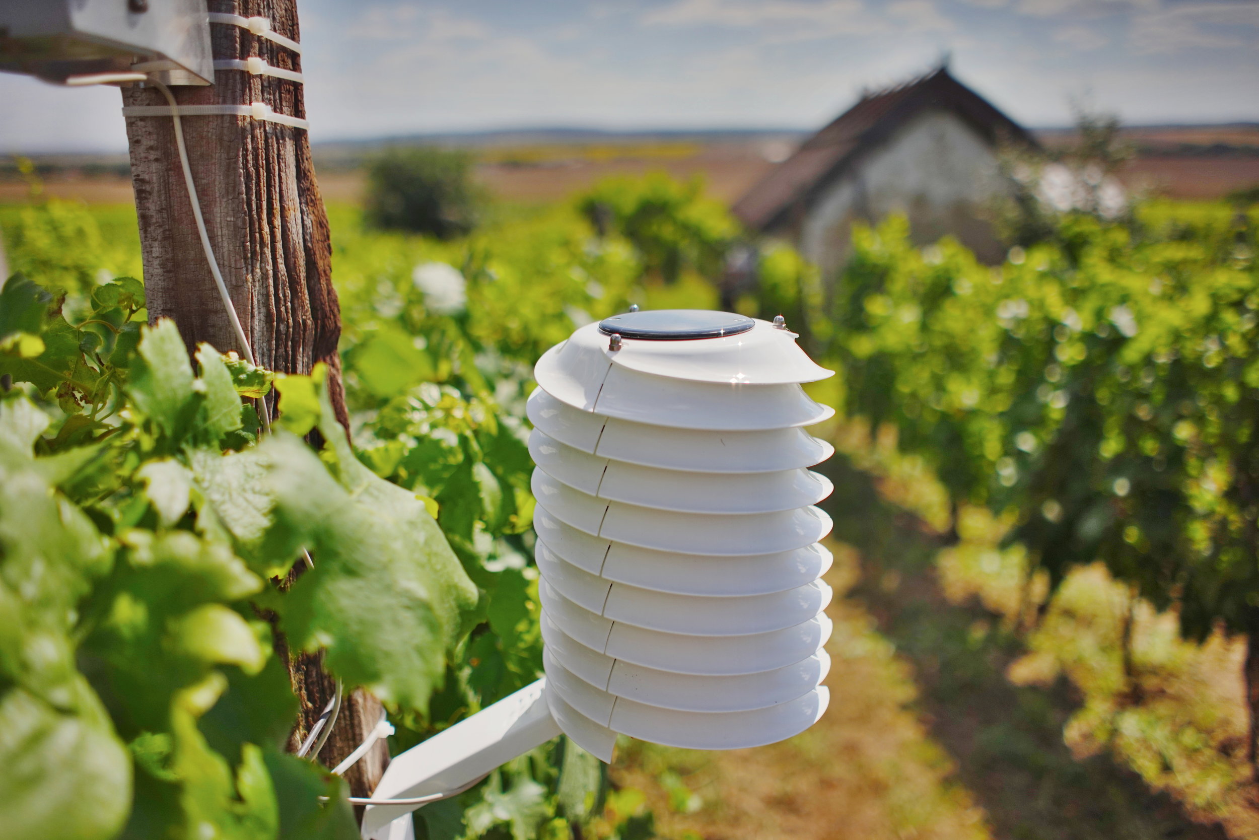 MeteoHelix Pro weather station for wine growing