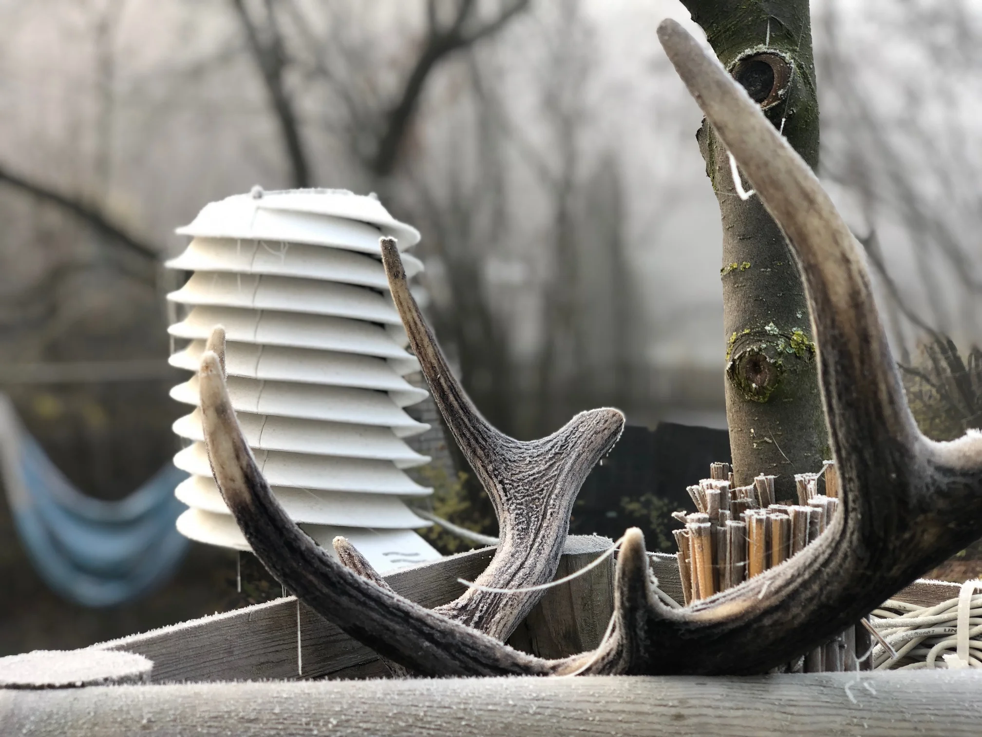 MeteoHelix weather station covered by frost after a deer hunt.
