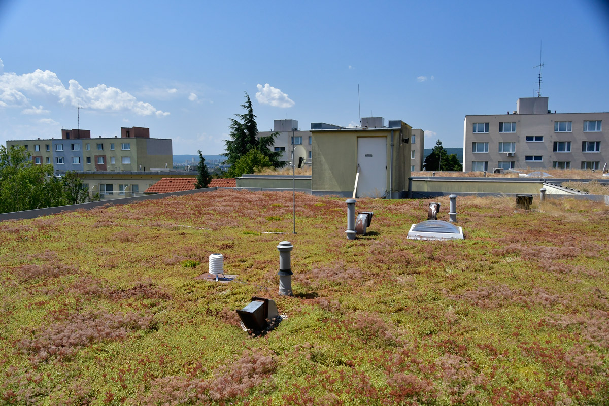 Comenius University research on the real climatological benefits of green roofs in inner-cities is supported by BARANI DESIGN Technologies’ educational discounts.