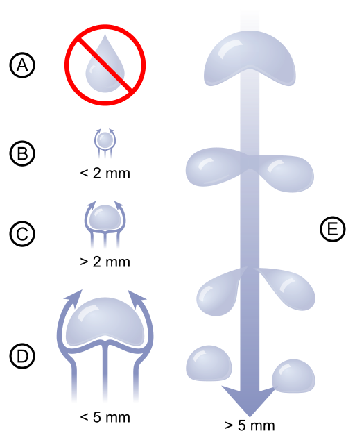 Rain drop size and speed of a falling rain drop — BARANI