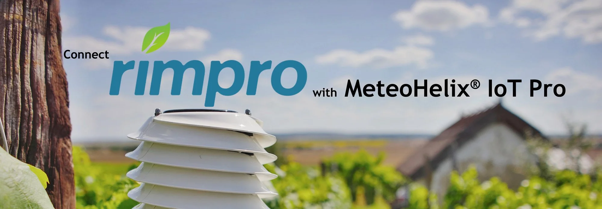 RimPro-Banner-2000px.jpg