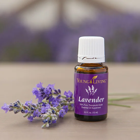 Lavender
