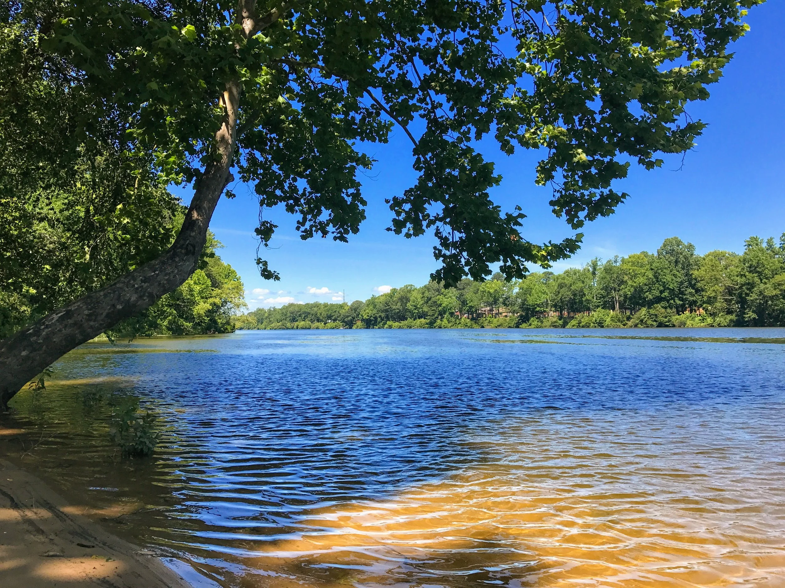 Lazy day by the Black Warrior River