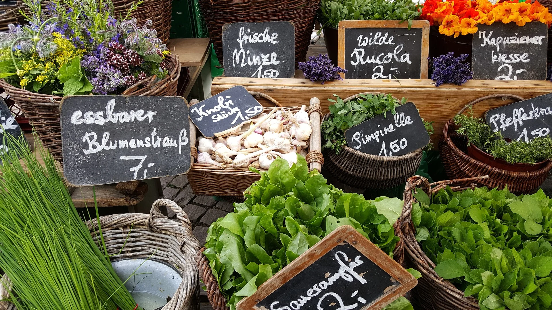 Effective Restaurant Menu Development Services