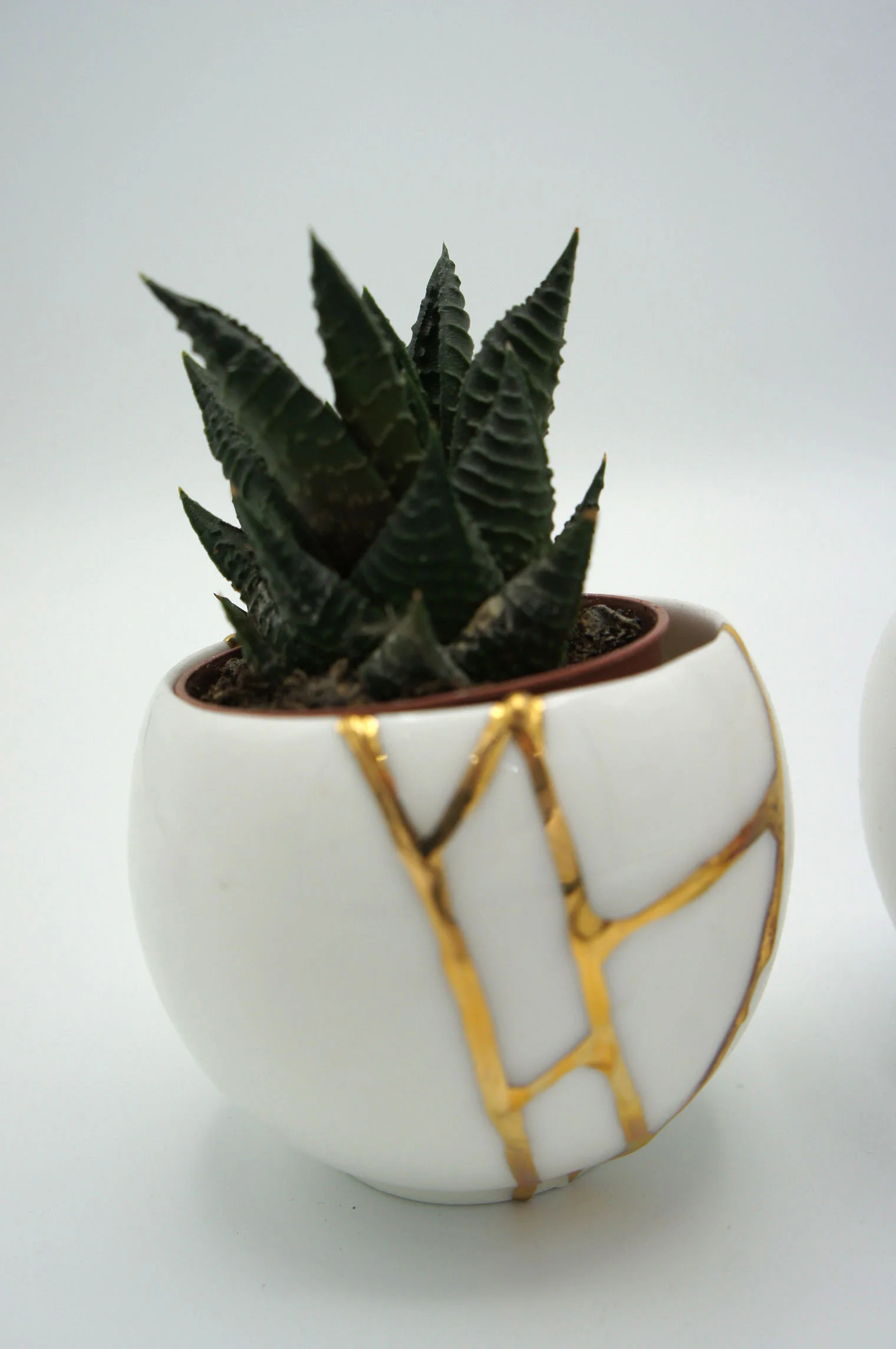 Kintsugi Cup - Eva Baron Interior Designer in Oxford