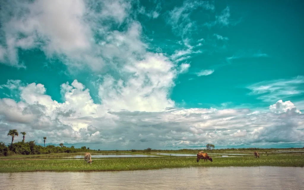 Juan Javier Ibarra Pitts CAMBODIA97 (1)_HDR 9.jpg