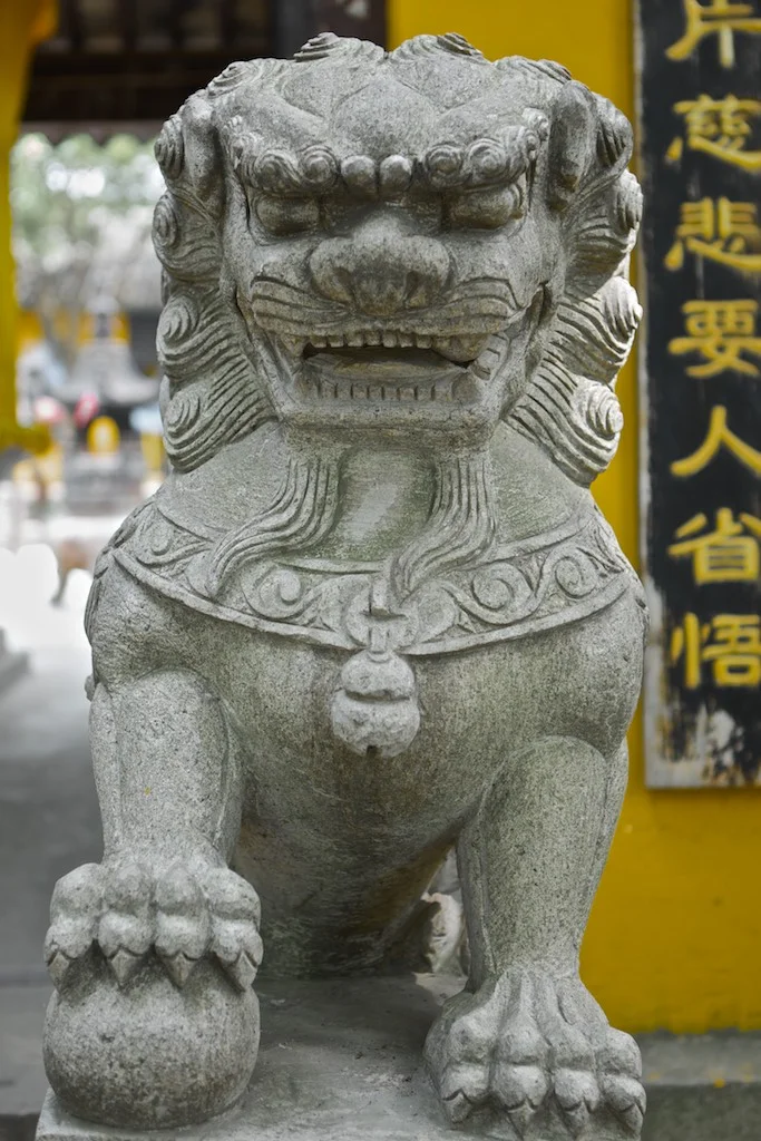 Juan Javier Ibarra Pitts CHINA24 2.jpg