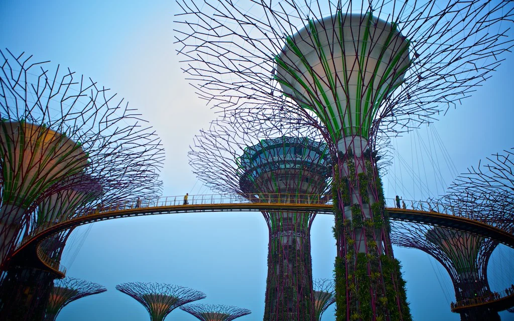 Juan Javier Ibarra Pitts SINGAPUR17 3.jpg