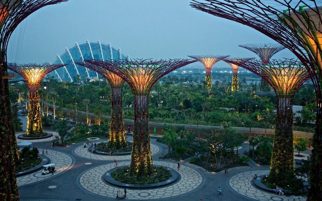 Juan Javier Ibarra Pitts SINGAPUR20 2.jpg