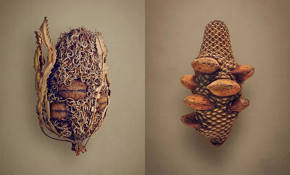 hidden-beauty-seeds-fruits-inside-1.jpg