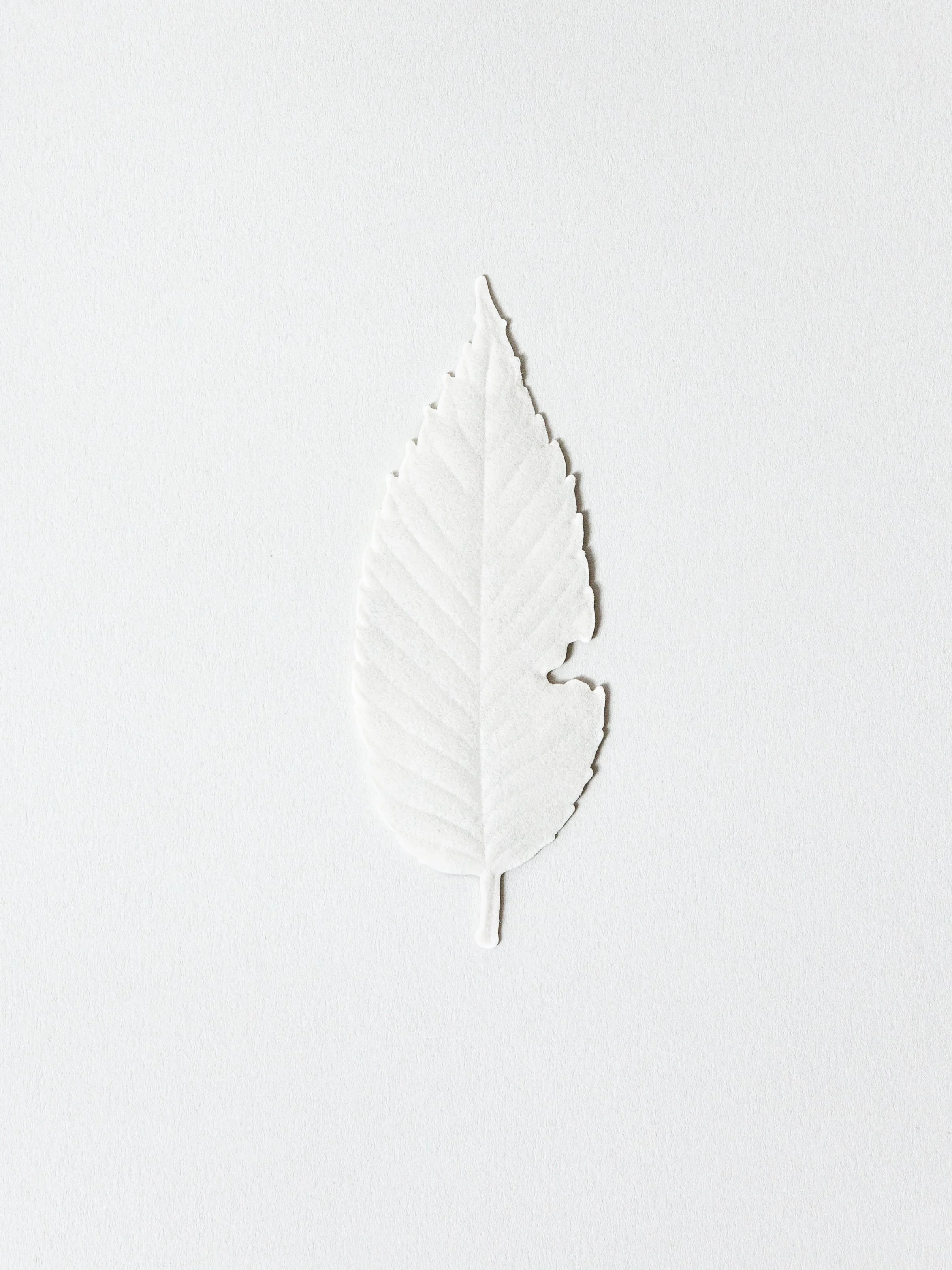 Paper incense in the shape of a white leaf.