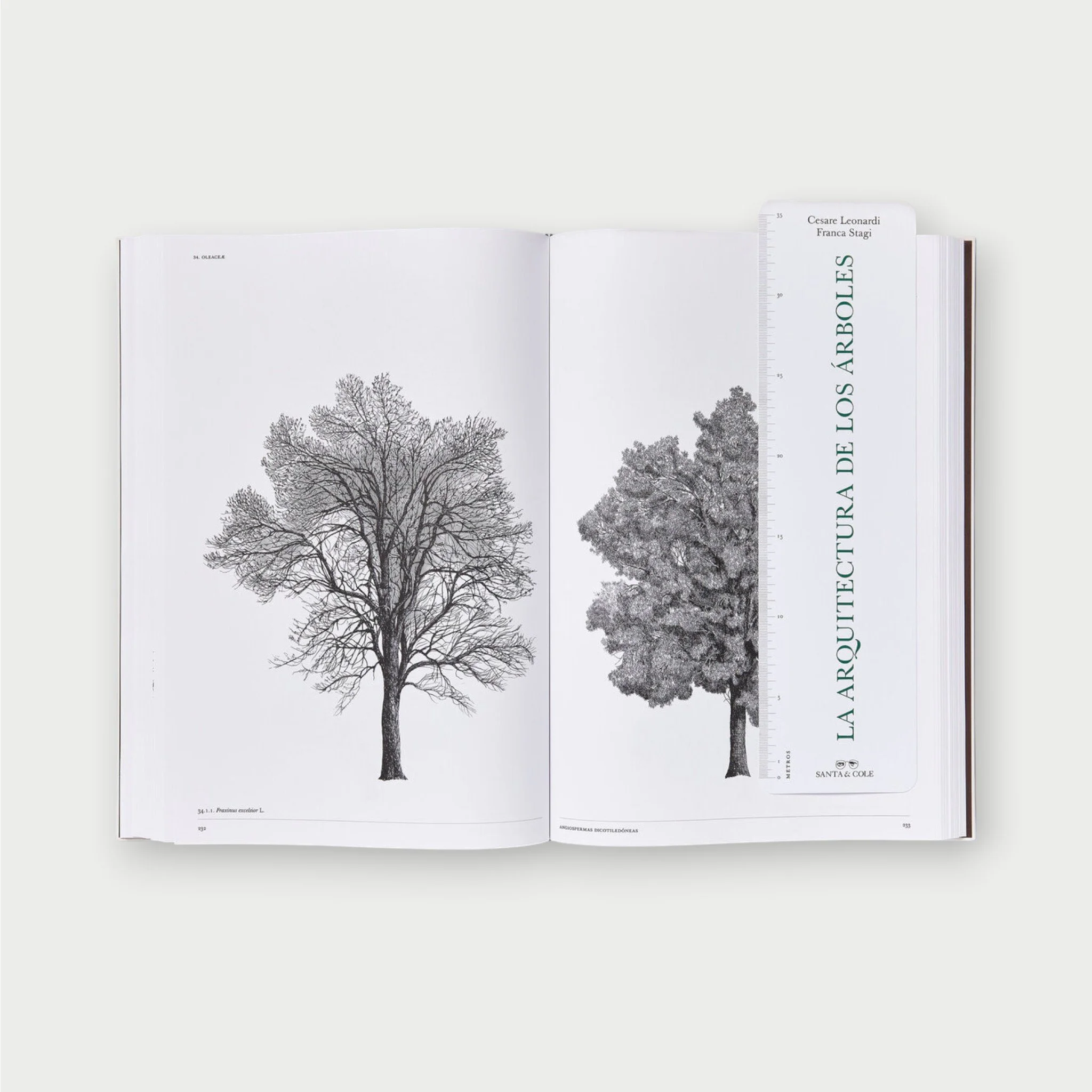 library-architecture-of-trees-inside.jpg