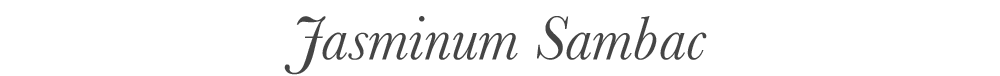 Jasminum Sambac