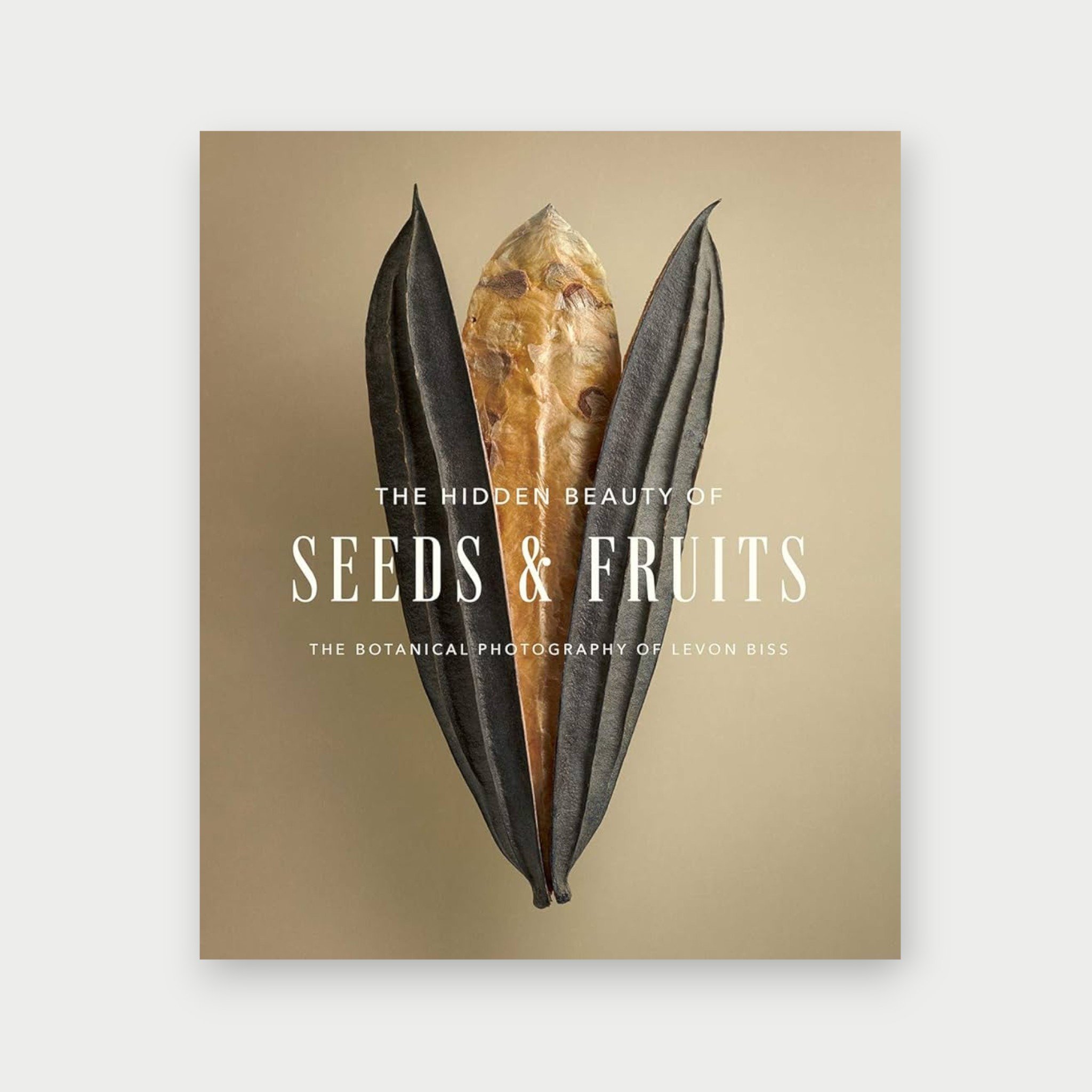 The Hidden Beauty of Seeds & Fruits